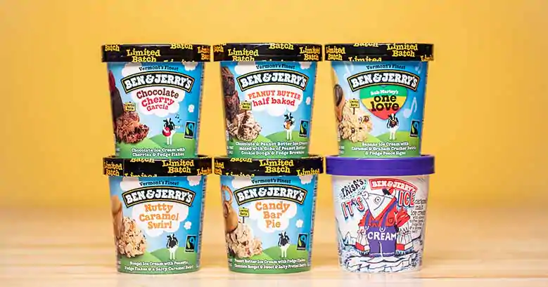 Ben & Jerry's Fudge Brownie 